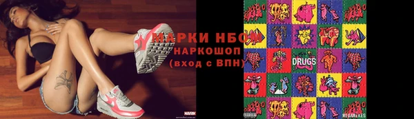 СК Сосновоборск
