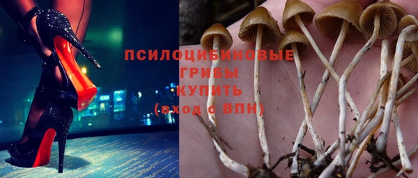 тгк Баксан