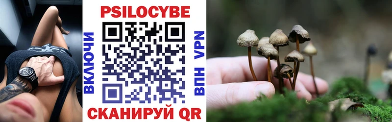 Галлюциногенные грибы GOLDEN TEACHER  наркота  Гаврилов-Ям 