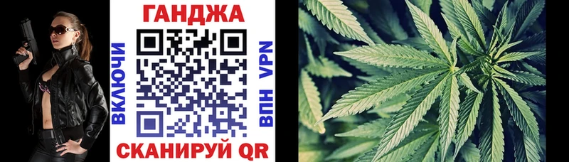 Канабис сатива  Гаврилов-Ям 